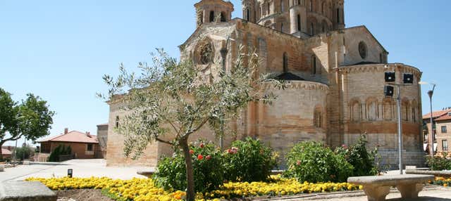 Visita guidata di Toro