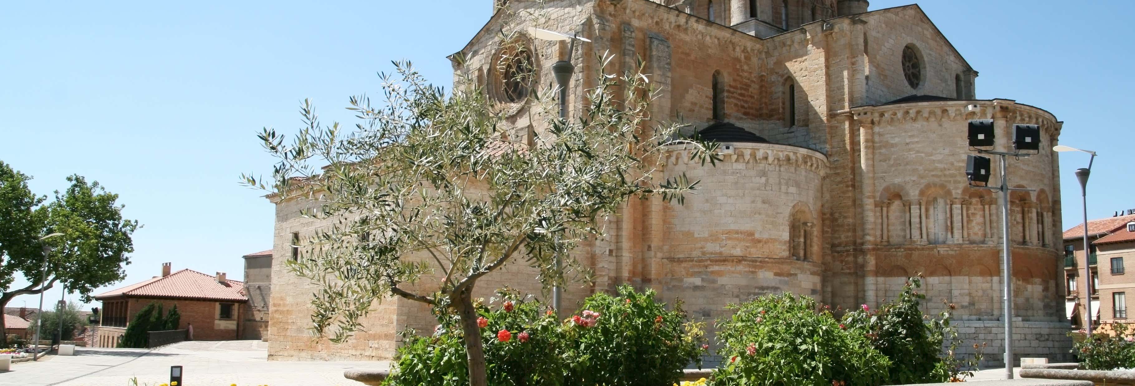 Visita guidata di Toro