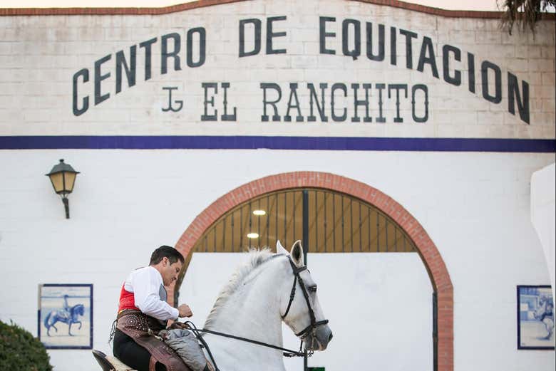 Imagen 7