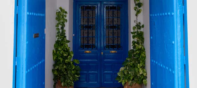 Escursione a Frigiliana e Nerja