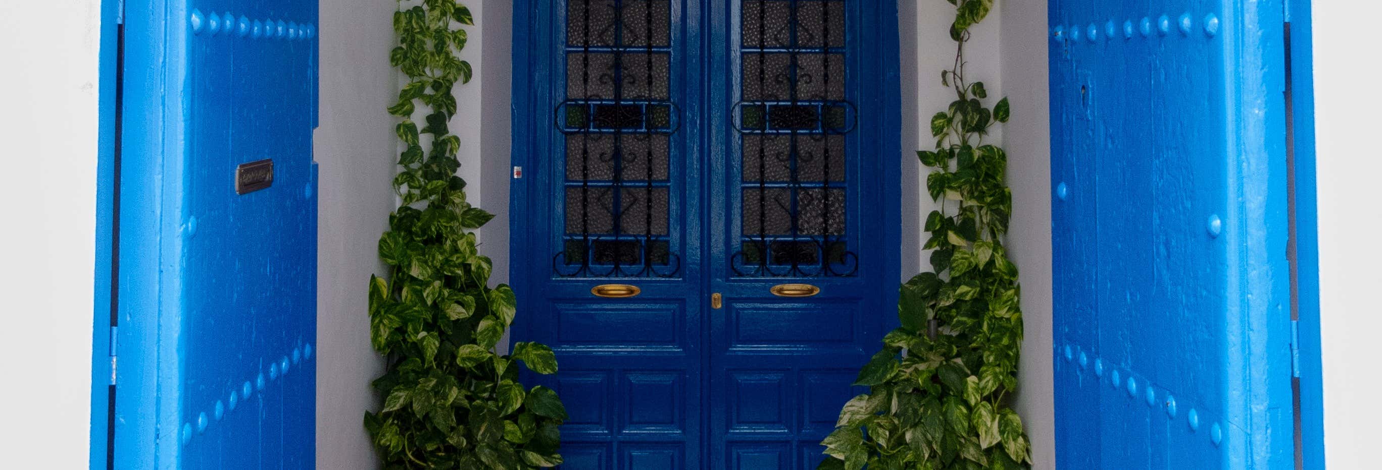 Escursione a Frigiliana e Nerja