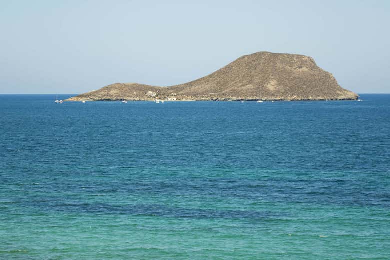 Imagen 6