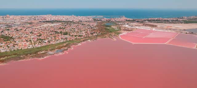 Visita guidata delle saline di Torrevieja