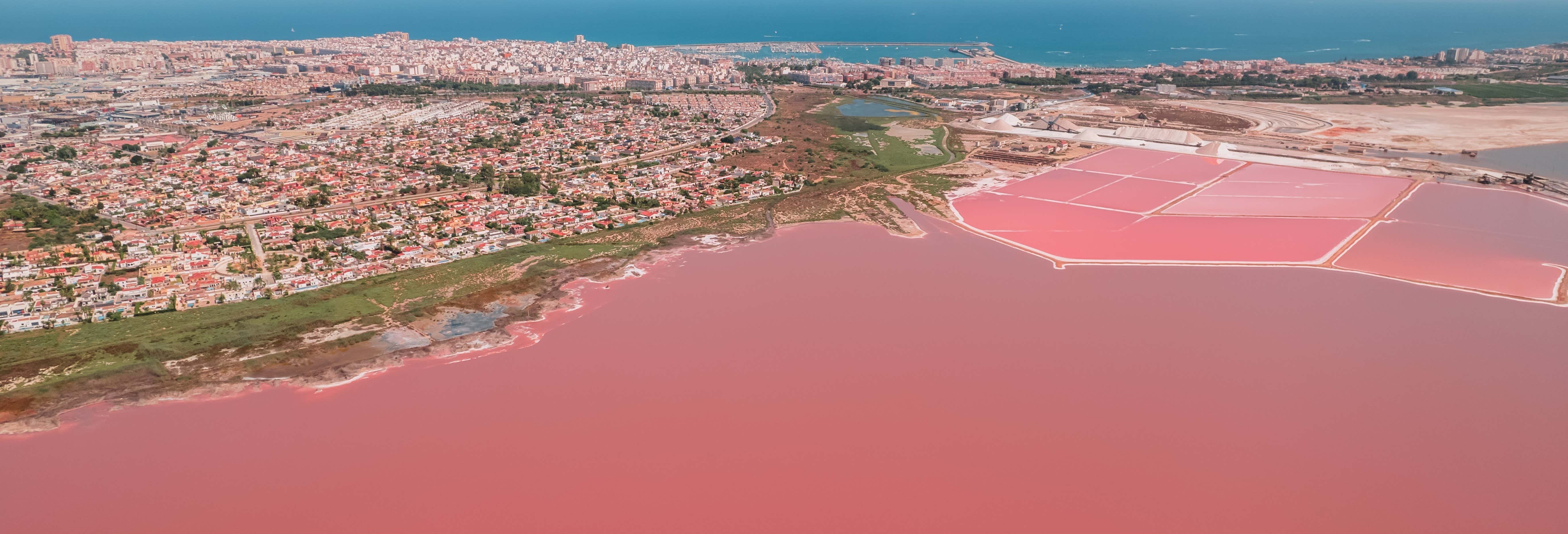 Torrevieja Salt Flats Tour