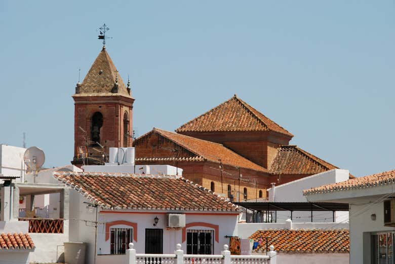 Imagen 5