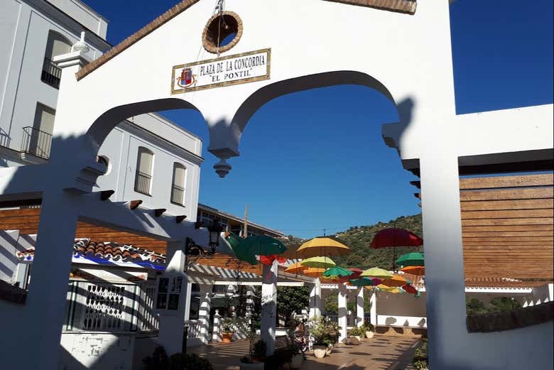 Imagen 5