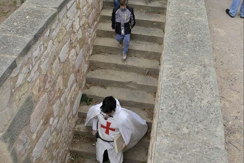 Imagen 5