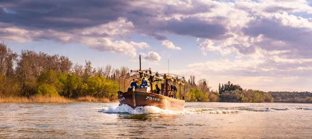 Paseo en barco por el Ebro
