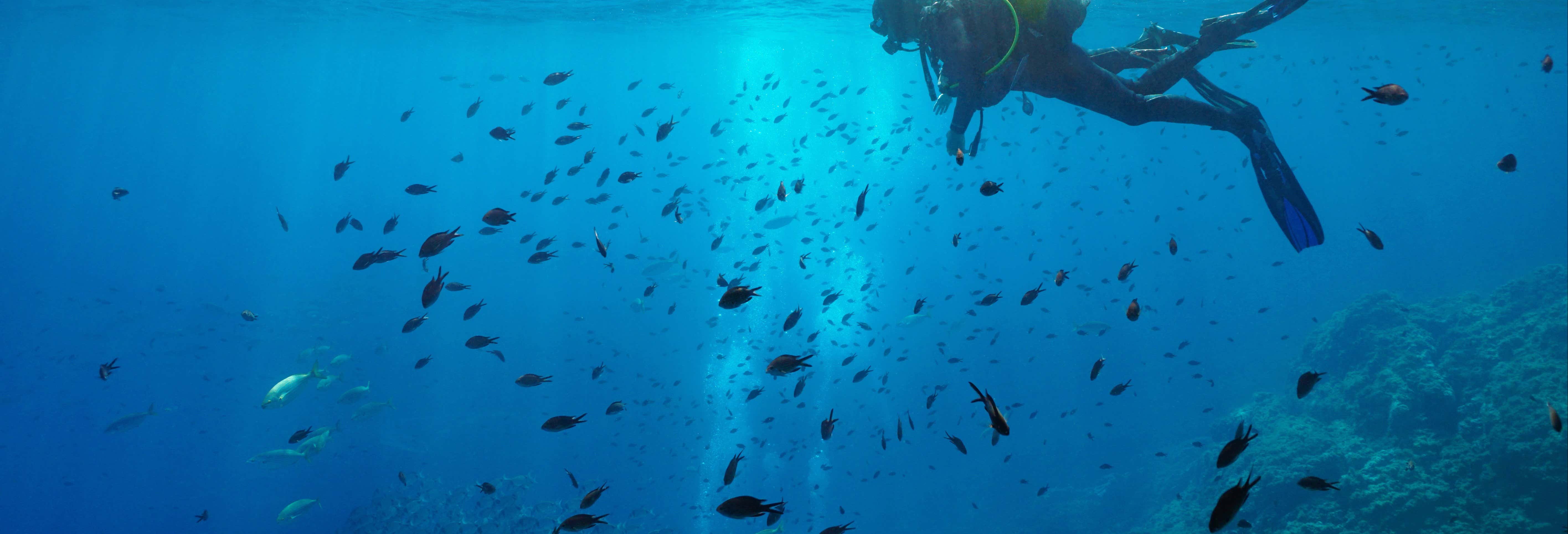 Corso sub PADI Open Water