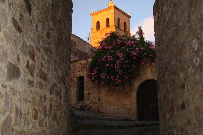 Imagen 3