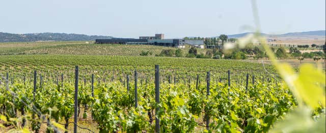 Visite des caves Habla