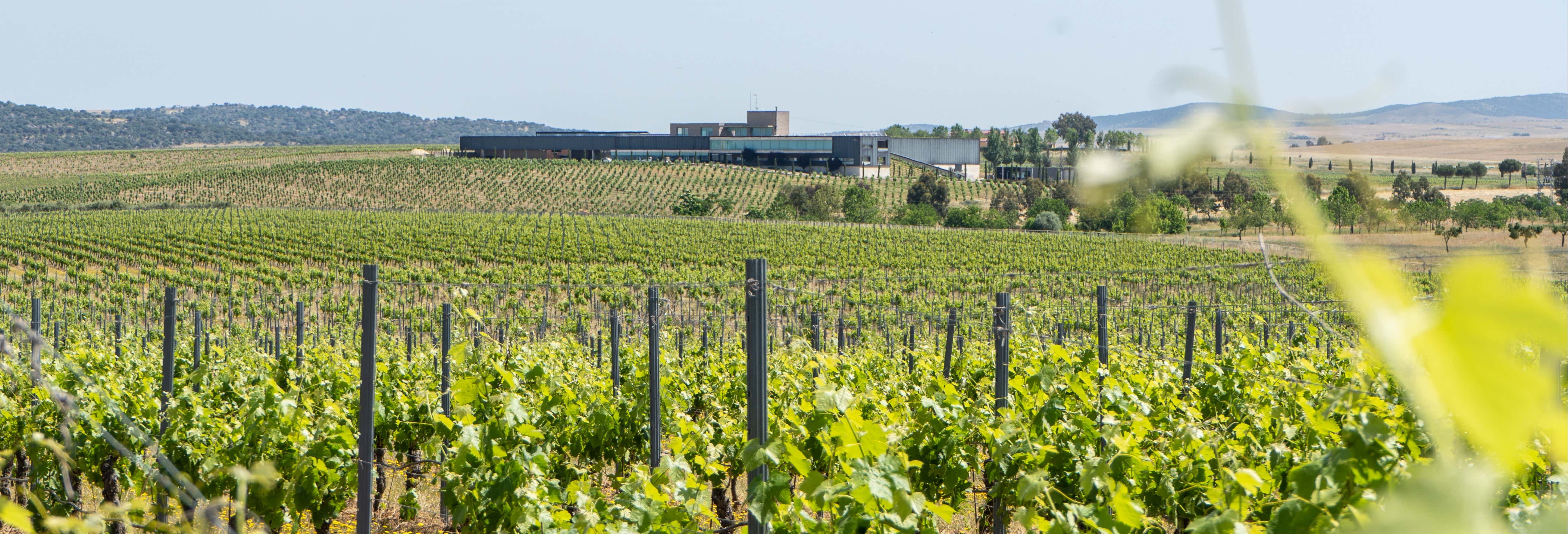 Visita alle cantine Habla