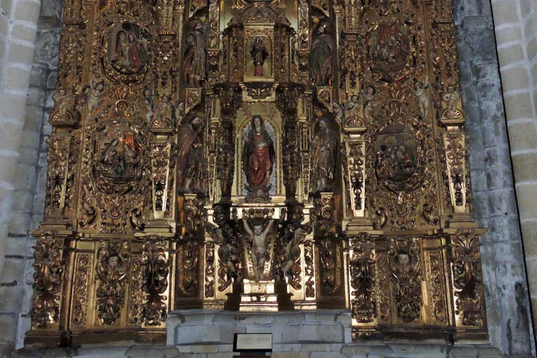 Imagen 5