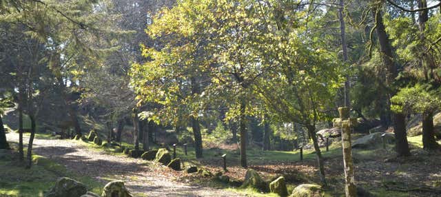 Tour por los miradores del Monte Aloia