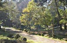 Tour pelos mirantes do Monte Aloia