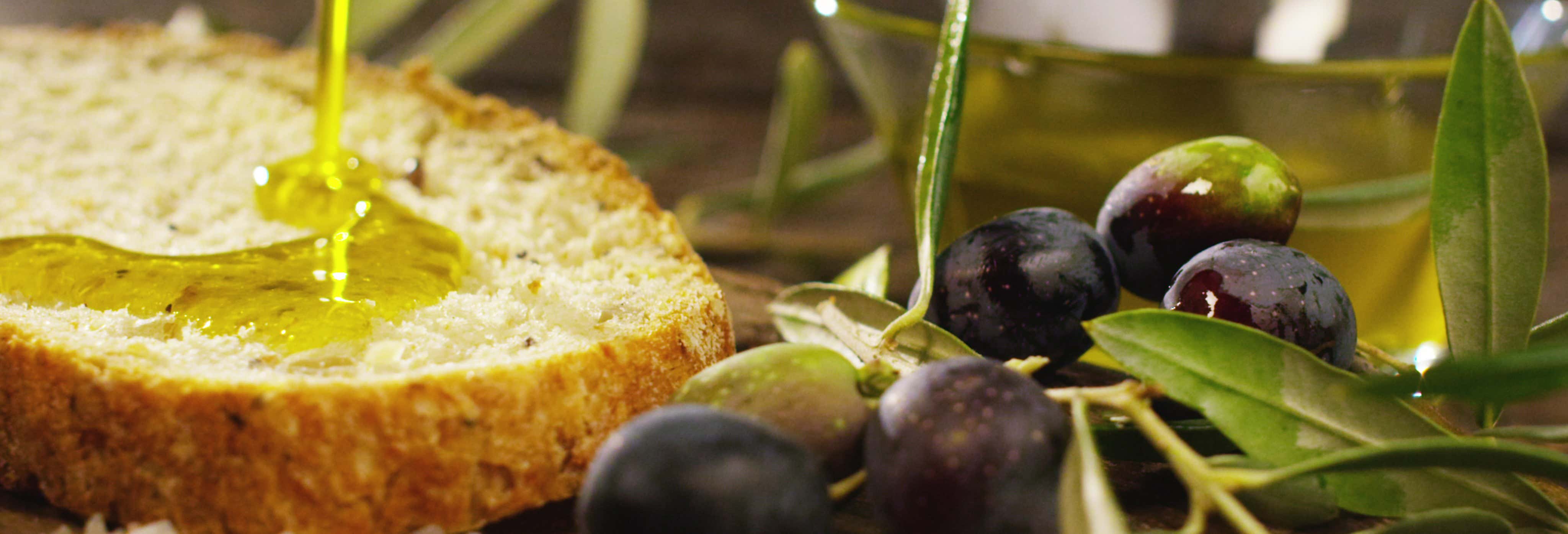 Olive Oil Tasting in Jaen