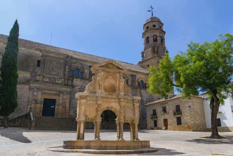 Imagen 6