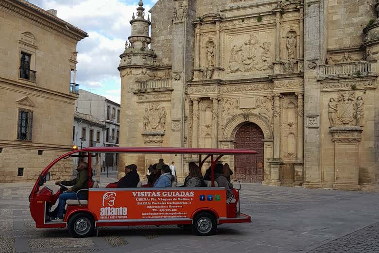 Imagen 7