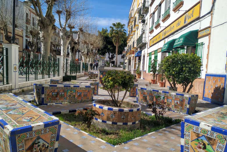 Imagen 5