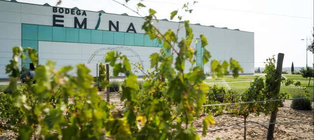 Degustazione di vino e formaggio nel Museo del Vino Emina