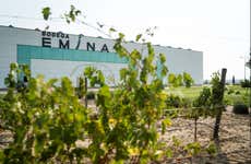 Cata de vino y queso en el Museo del Vino Emina