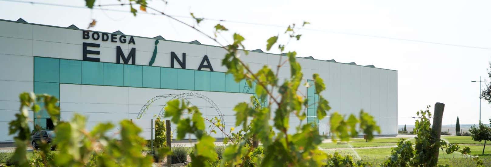 Degustazione di vino e formaggio nel Museo del Vino Emina