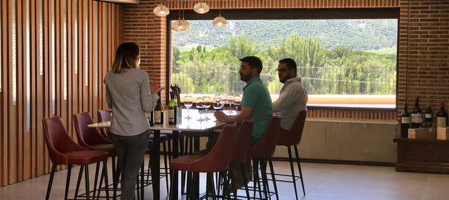 Degustazione di vino, formaggio e olio alla cantina Matarromera