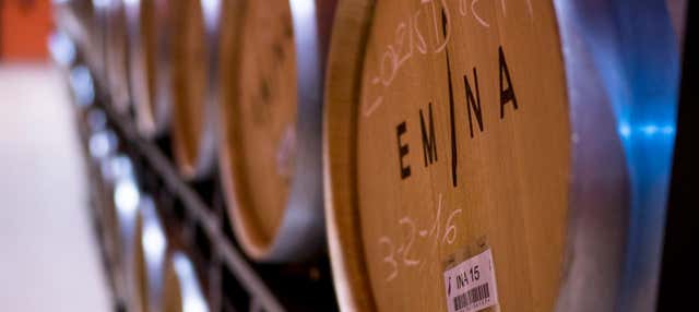Visita alla cantina Emina Ribera