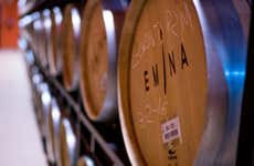 Visita a la Bodega Emina Ribera