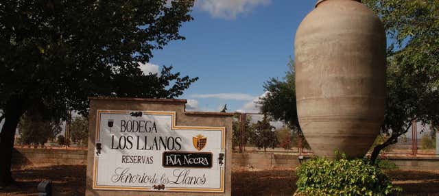 Visita alla cantina Los Llanos e alla Cueva del Arte