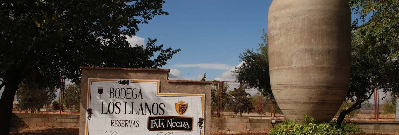 Los Llanos Winery & Cueva del Arte Guided Tour