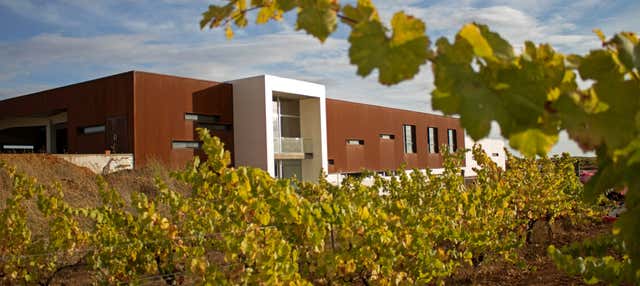 Visita alla cantina Leyenda del Páramo