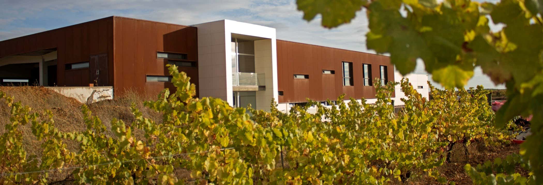 Leyenda del Páramo Winery Visit