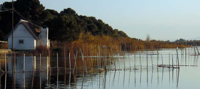 Albufera Sightseeing Bus + Cruise