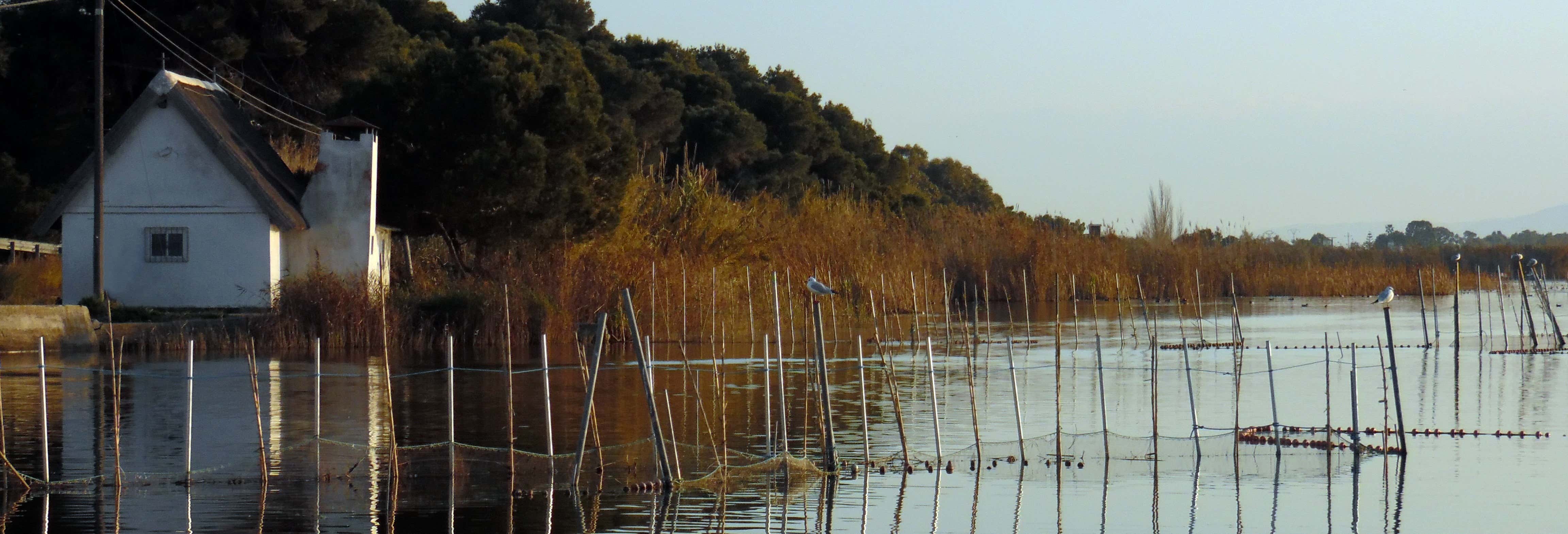 Autobus turistico dell'Albufera + Giro in barca