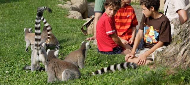 Ingresso do Bioparc Valência