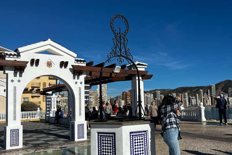 Imagen 12