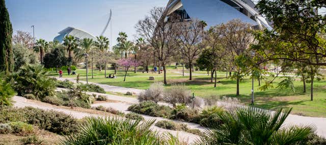 Turia Gardens Bike Tour