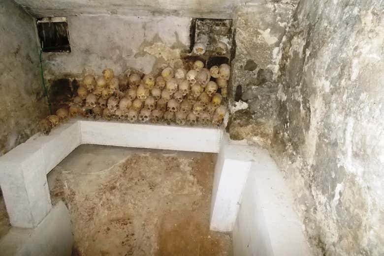 Imagen 2