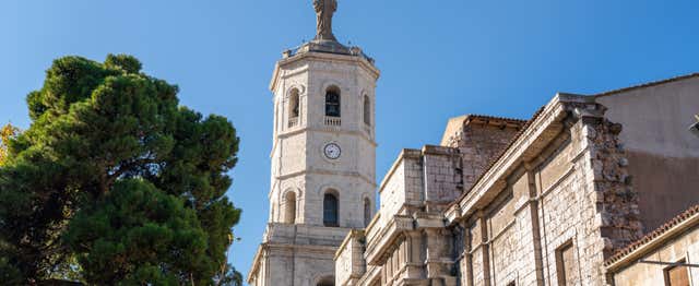 Visita de la Torre de la Catedral