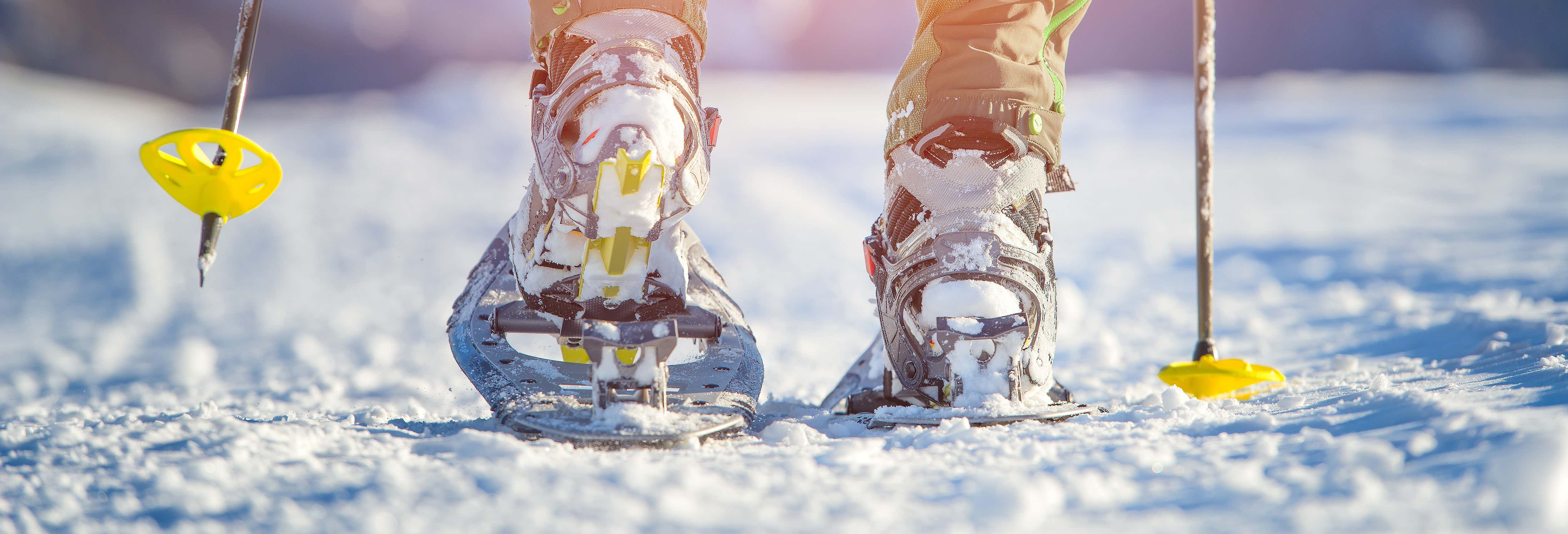 Snowshoeing Tour in the Valle de Lago