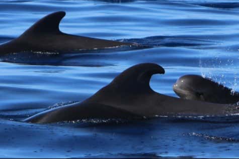Imagen 8