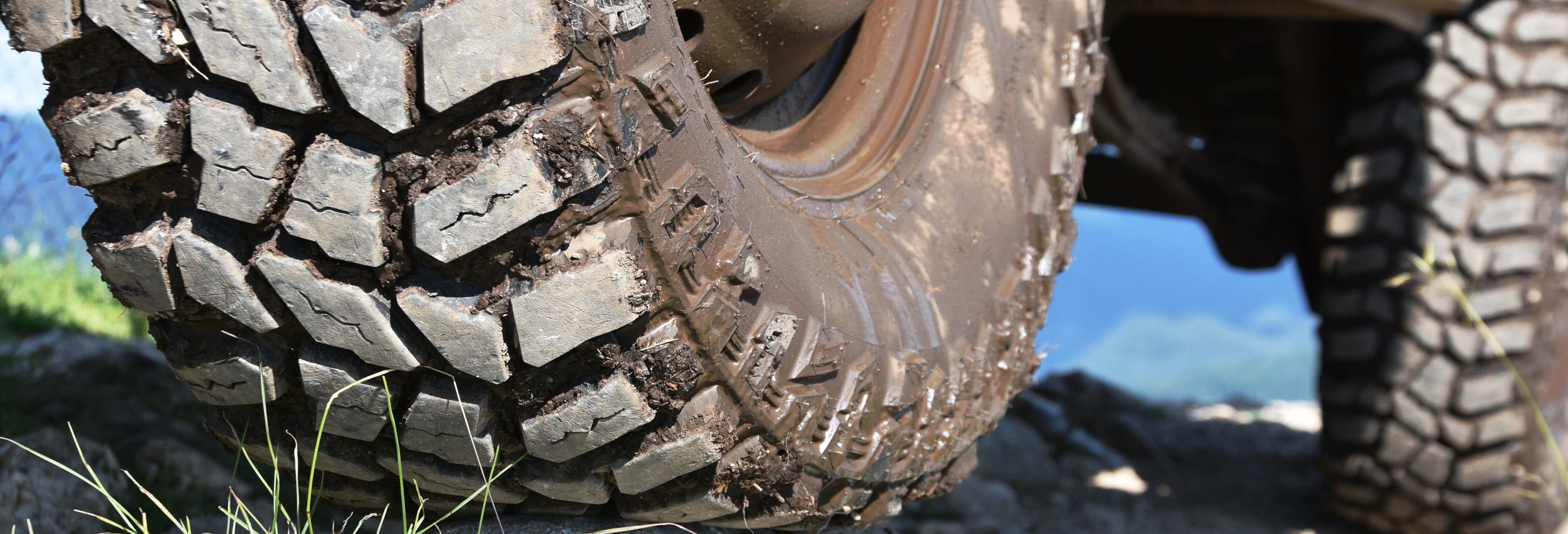 Tour in 4x4 della campagna del Pisuerga