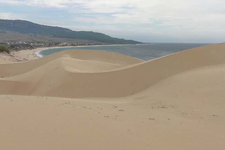 Imagen 6
