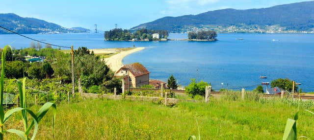 Escursione all'isola di San Simón in barca