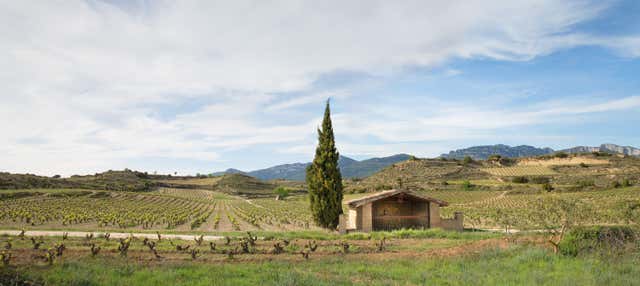Visita delle cantine Izadi