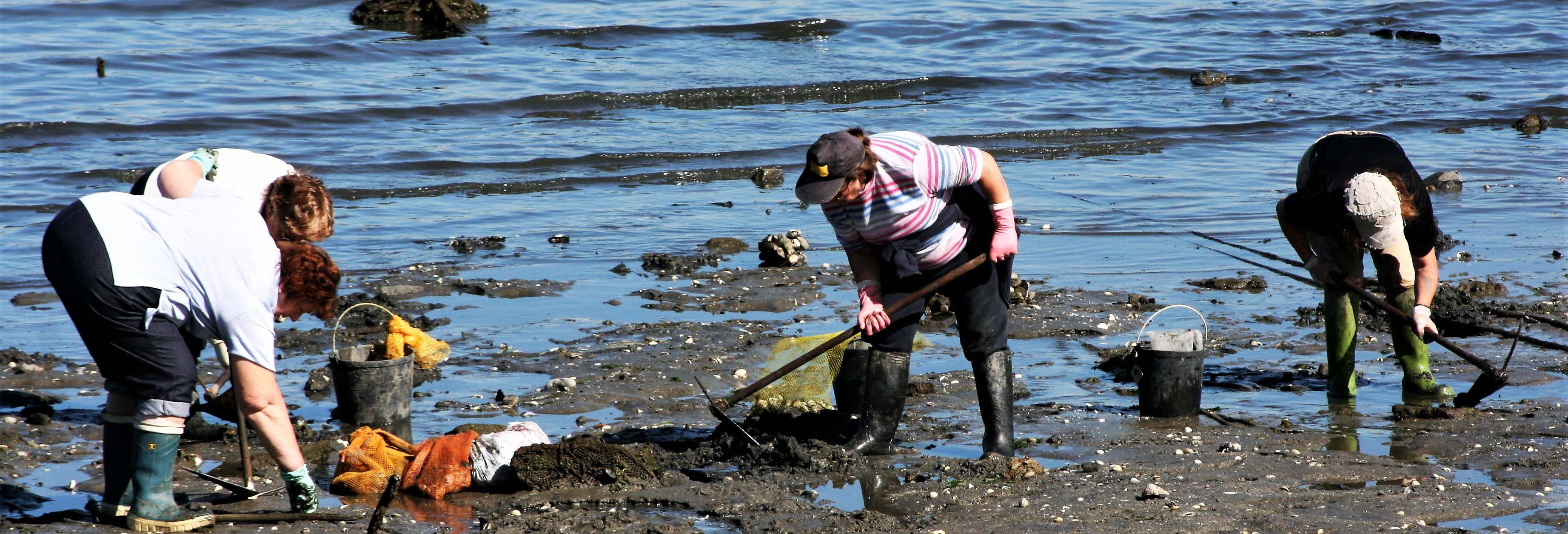 Free tour delle mariscadoras di Villagarcía de Arosa