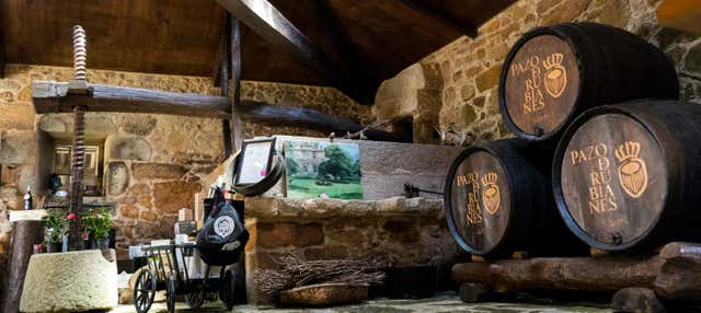 Visita guidata del Pazo de Rubianes