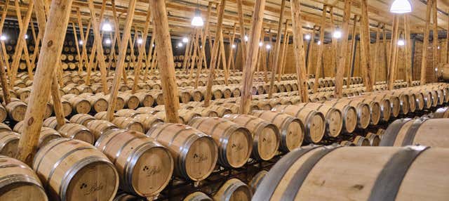 Visita alla cantina Bela