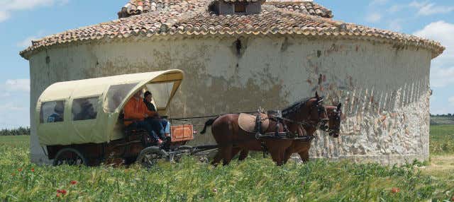 Visita guidata della tenuta di Matallana
